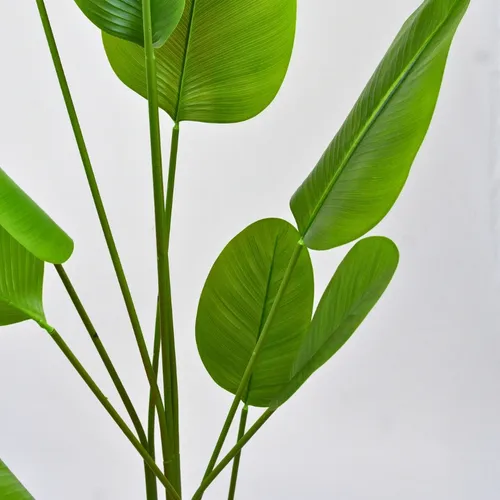 Planta Artificial Strelitzia Nicolai Hiperrealista Xl 180cm Color Verde