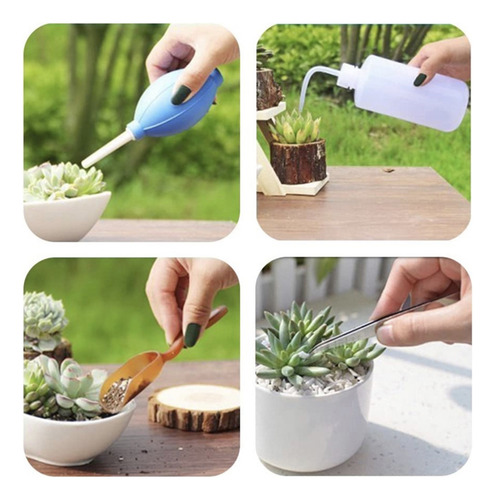 Juego De Herramientas De Plantación Office Fairy Mini Sucule