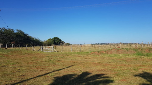 Imagem 2 de 5 de Área 65000m2 Na Castelo Branco Tatuí Próximo Ao Pedagio,otima Localização,excelente Topografia,boa Para Loteamento De Chacaras,agua,energia,asfalto - Ar00024 - 69590727