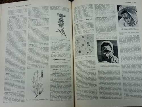 Imagen 4 de 6 de Nuovissimo Dizionario Medico * Saie Larousse *