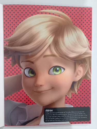 Miraculus Livro Das Máscaras 7 Máscaras Ladybug E Sua Turma