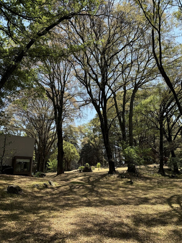 Vendo Rancho Terreno 7265m San Nicolás Tlazala Toluca Ocoyoacac Edomex