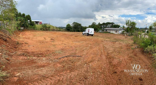 Imagem 3 de 5 de Área Industrial 2540 M² Por R$1.190.000,00 - Braga - São José Dos Pinhais/pr - Te0035