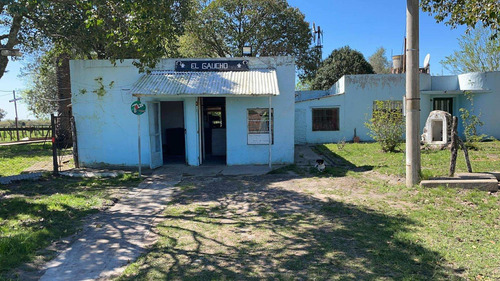 Imagen 6 de 20 de Chacra Sobre Ruta 20 Gualeguaychu!