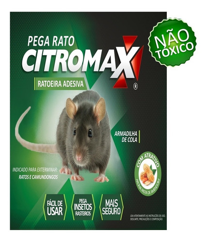 Ratoeira Adesiva Pega Rato 12 Cartelas