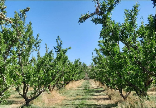 Imagen 4 de 19 de Campo - Caleu Caleu