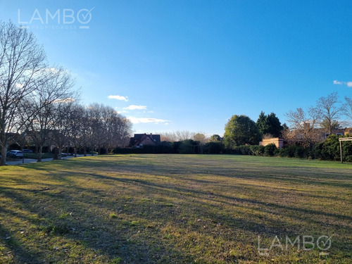 Venta Lote Terreno Pilar Martindale C. C.