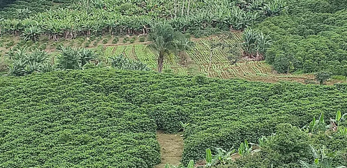 Imagem 12 de 15 de Fazenda, Para Venda Em Carangola/mg - Var1212ale