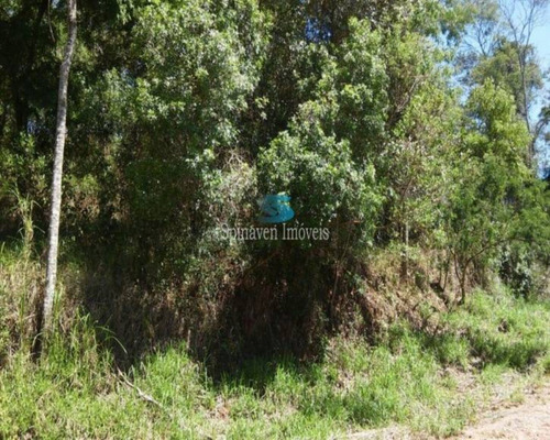 Imagem 10 de 11 de Terreno De 6.000 Metros Quadrados Em Condomínio Fechado Atibaia - Venda - Tc00105 - 69735407