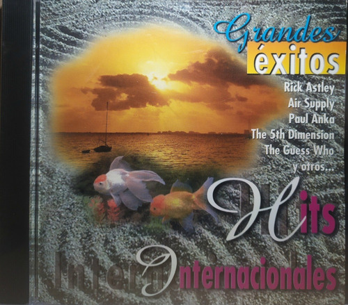 Hits Internacionales - Grandes Éxitos 