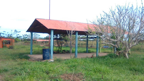 Imagen 3 de 10 de Se Vende Finca En Caicarita Ve02-005cdm-ml