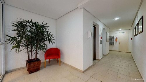 Imagem 10 de 30 de Apartamento Com 2 Dormitórios À Venda, 57 M² Por R$ 260.000 - Tristeza - Porto Alegre/rs - Ap3878