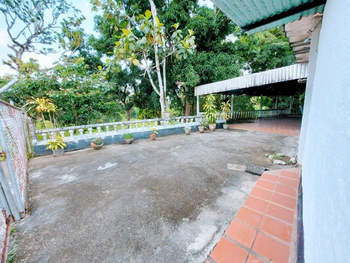 Imagen 4 de 12 de Se Vende Casas De Campo 2806m² 5h4b6p En Barlovento