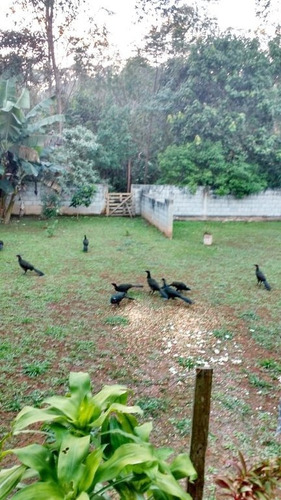 Imagem 17 de 17 de Casa A Venda No Embu-guaçu - Condomínio Interlagos Sul - 14066