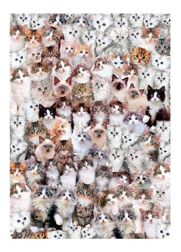 Imagen 1 de 1 de Rompecabezas 1000 Pz,  Mundo De Gatos* Hao Xiang,  Cat World