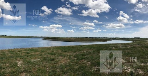 Imagen 5 de 30 de Lote Amarra Delta