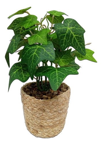 Maceta Con Planta Artificial Decorativa Hojas Pettish Online