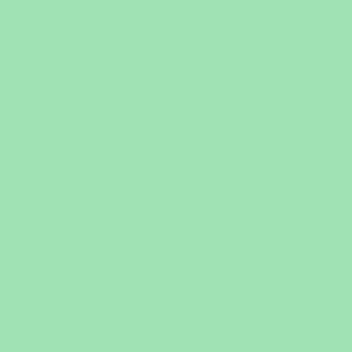 Wetb Go Green Detangle Pente Verde