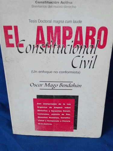 El Amparo Constitucional Civil