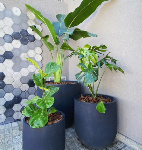 Servicios De Jardinería Y Paisajismo