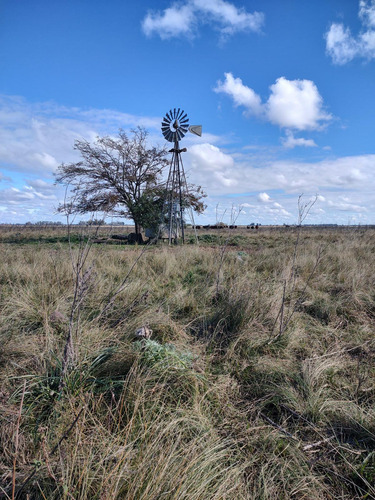 Hectareas En Venta En Oliden