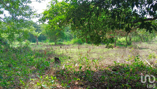 Venta Terreno 0 Ambiente Dos De Abril (montepío Chiquito)