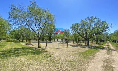 Imagen 25 de 25 de Terreno - San Ignacio