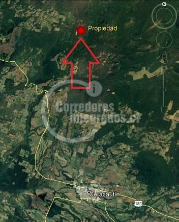 Imagen 2 de 14 de Sitio Forestal En Venta En Curacautín