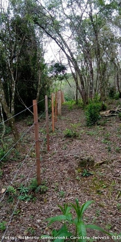Sítio / Chácara Para Venda Em Mariana Pimentel, Linha Vasques, 2 Dormitórios, 1 Banheiro, 2 Vagas - 1223_1-1612485