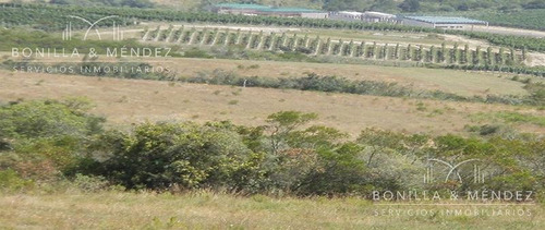 Sierra De Los Caracoles, Casi 30 Hectáreas Frente A Agroland