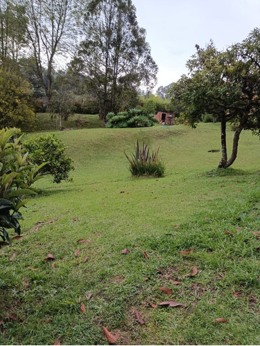 Lote En Rionegro Vereda Sajonia