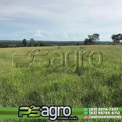 Imagem 2 de 9 de Fazenda À Venda, 6720000 M² Por R$ 15.500.000 - Piaui - Fa0251