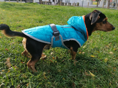 Parka Reversible Ropa Para Perros Talla M Pethome
