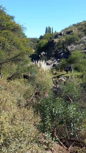 Imagen 4 de 9 de Terreno En San Luis Con Domo Geodésico Trapiche Dique La Florida