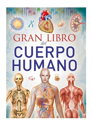 Gran Libro Del Cuerpo Humano Enciclopedia