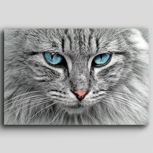 Cuadro Decorativo Canvas Gato Colores Ojos Mirada 80*120
