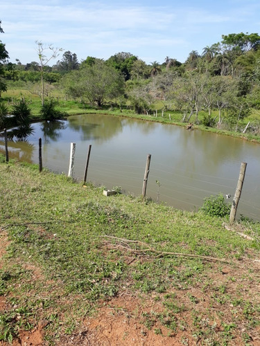 Imagem 17 de 27 de Chácara 31mil M2, Rica Em Água Com Tanques Com Peixes, Casa Sede, Área Gourmet Com Churrasqueira E Piscina, Playground, Wifi, Ótima Localização - Ch00250 - 70806333