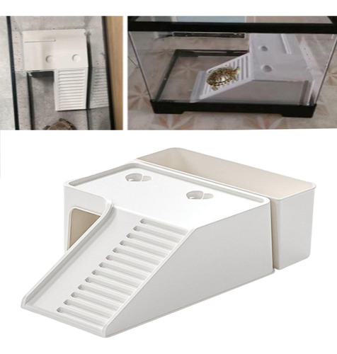 De Para Tortugas, Terraza De , Escalera Caja De Suelo Grande