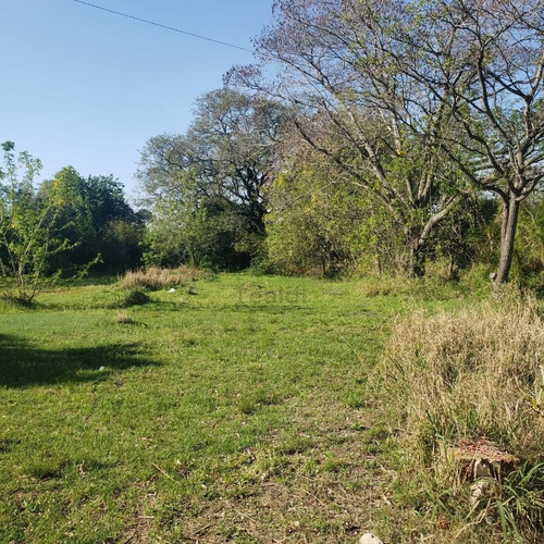 Imagen 3 de 6 de San Jose Del Rincón - Terreno En Venta