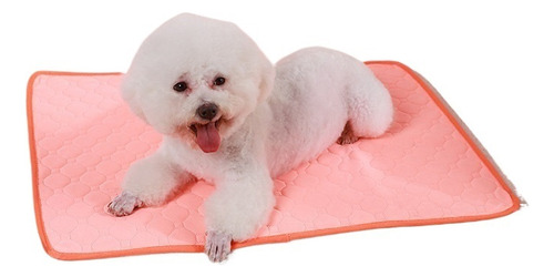 Tc Almohadilla For Orinar For Mascotas, Lavable, 023