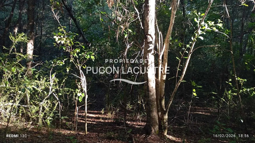 Parcela A Minutos Del Lago Caburgua (171361)