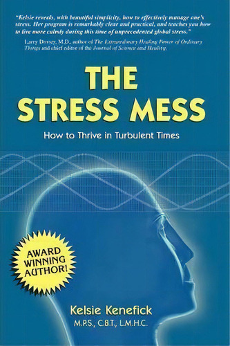 The Stress Mess, De Kelsie Kenefick. Editorial Roots Wings Pub, Tapa Blanda En Inglés