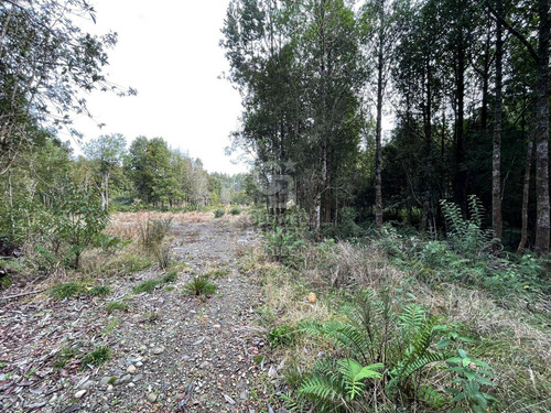 Parcela 5.750 M² Con Bosque Nativo, Cerca De Puerto Varas