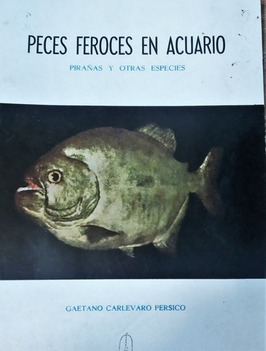 Peces Feroces En Acuario Pirañas Y Otras Especies