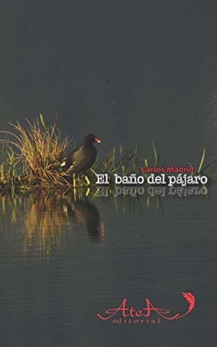 El Bano Del Pajaro