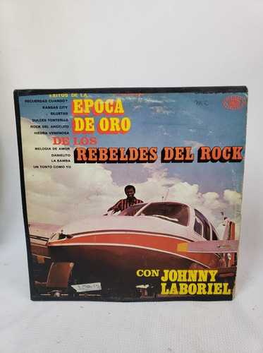 Éxitos De La Época De Oro De Los Rebeldes Del Rock Disco Lp 