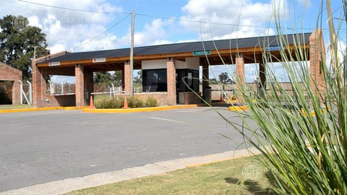 Imagen 2 de 7 de Terreno - San Pablo Pilar - Apto Procrear