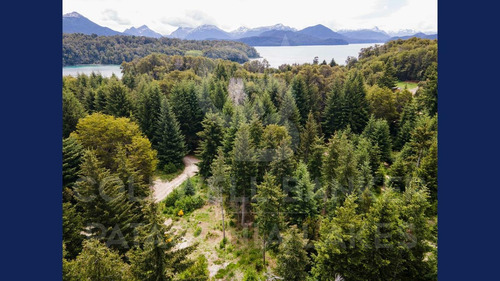Imagen 5 de 14 de Venta Lote/terreno 2983m2 Barrio Puerto Nahuel - A Metros Del Lago Nahuel Huapi, Villa La Angostura