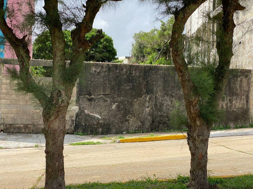 Imagen 3 de 4 de Terreno En Venta