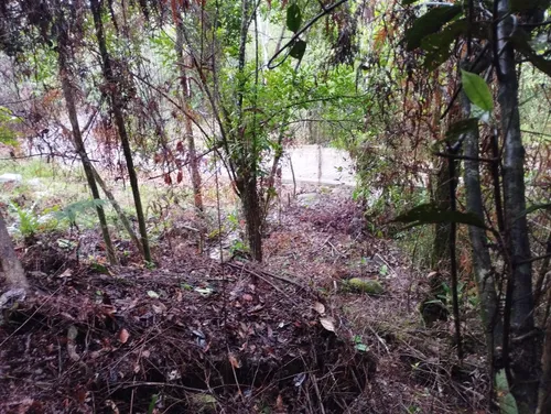 Lote En Guarne